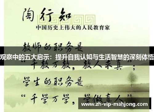 观察中的五大启示：提升自我认知与生活智慧的深刻体悟