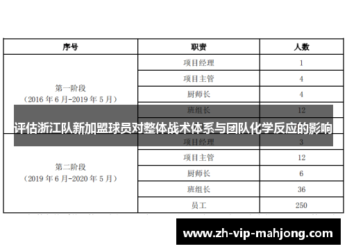 评估浙江队新加盟球员对整体战术体系与团队化学反应的影响 评估浙江队新加盟球员对整体战术体系与团队化学反应的影响