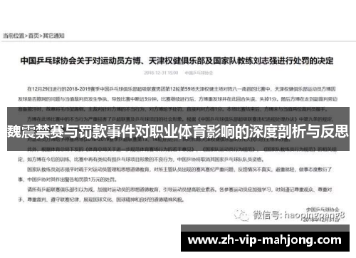 魏震禁赛与罚款事件对职业体育影响的深度剖析与反思 魏震禁赛与罚款事件对职业体育影响的深度剖析与反思
